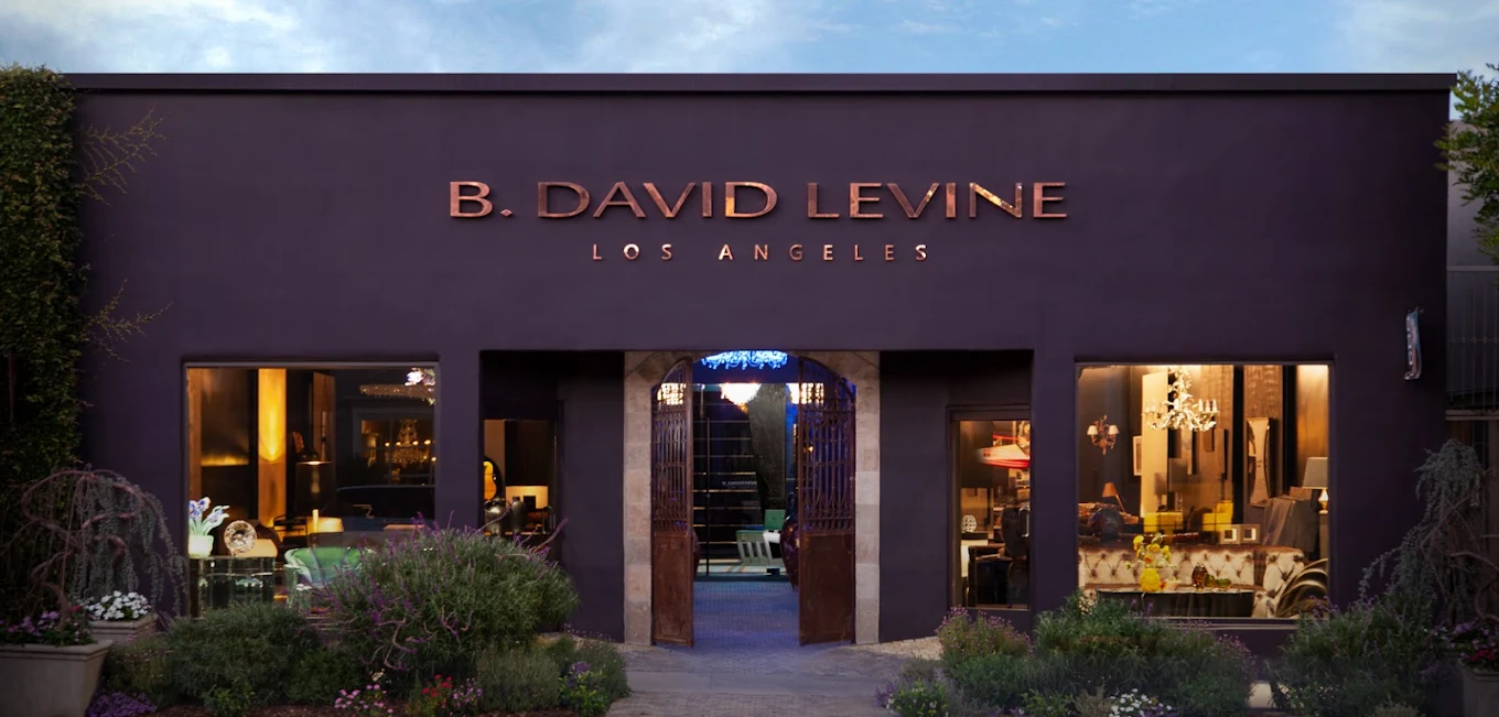 B. David Levine