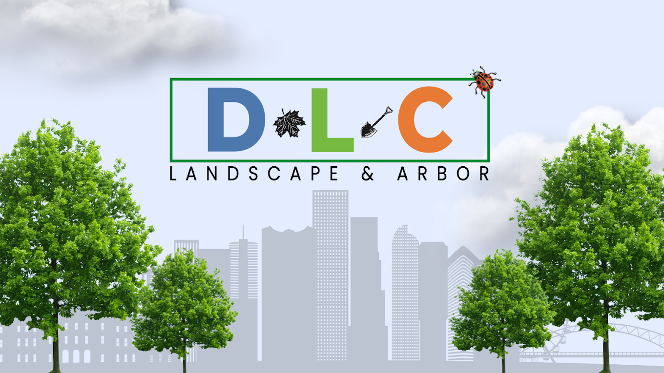 DLC Landscape & Arbor