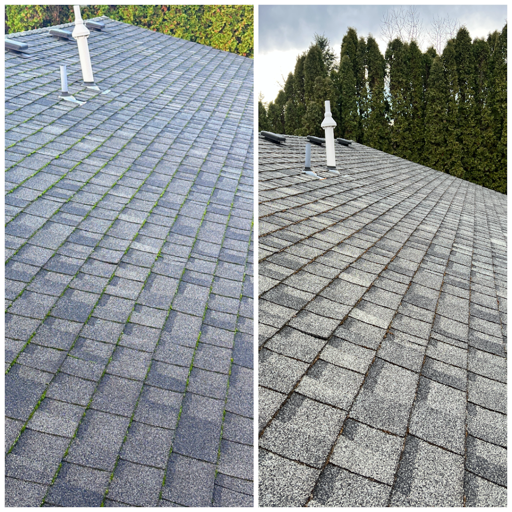 AA Window, Roof & Gutter Cleaning