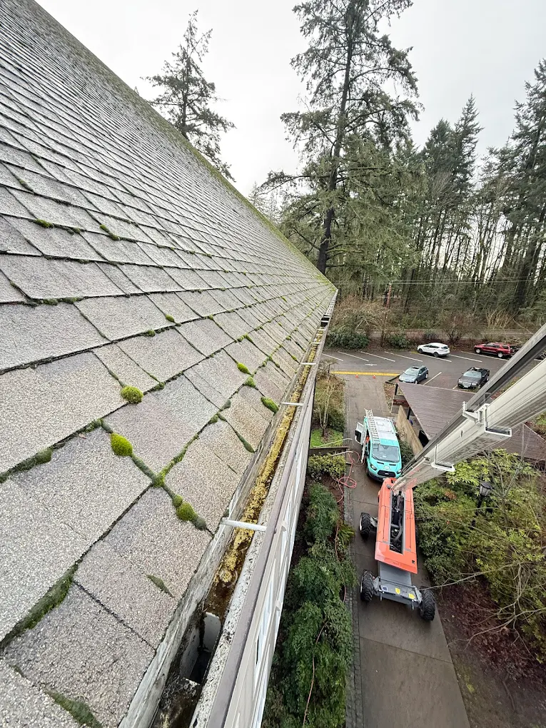 PDX Roof Cleaning & Pressure Washing