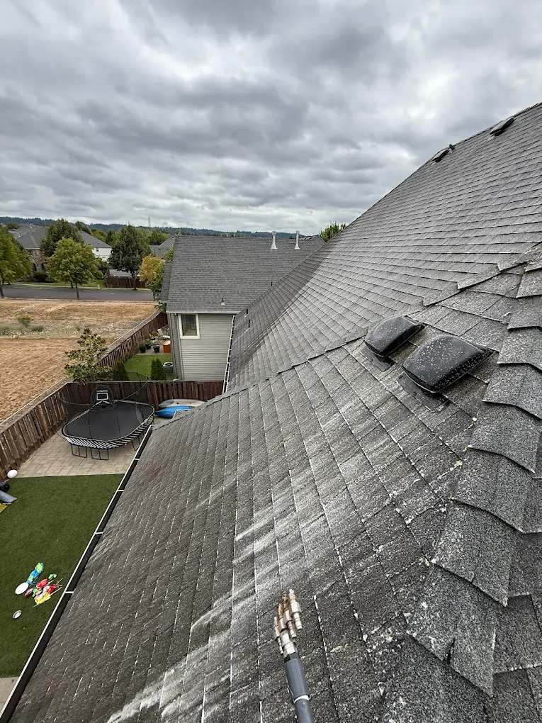 PDX Roof Cleaning & Pressure Washing
