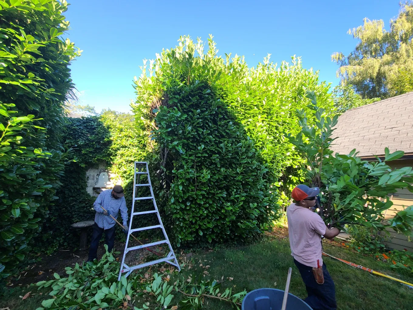Lawn care best yard & Construction LLC