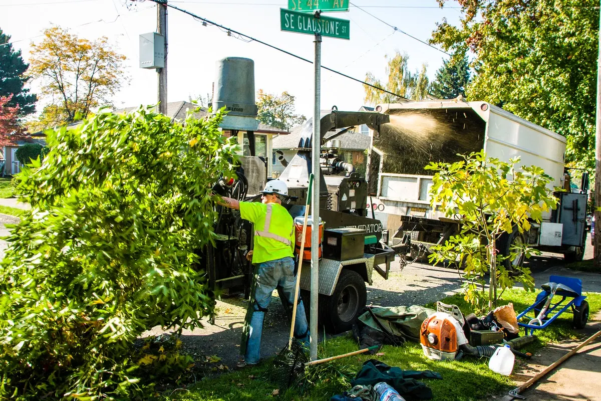 Urban Forest Pro