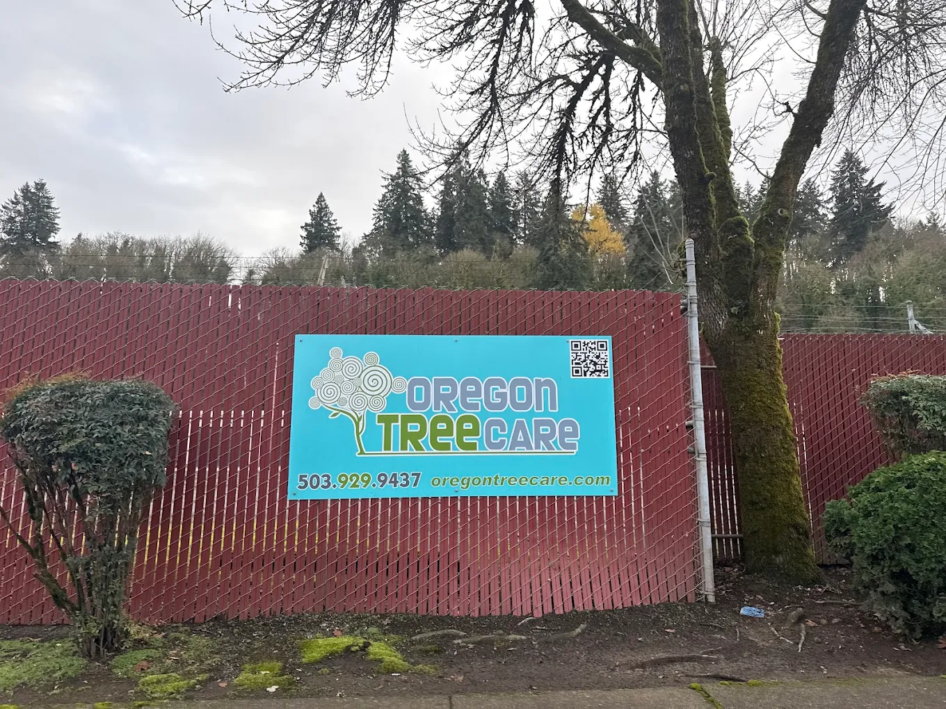 Oregon Tree Care