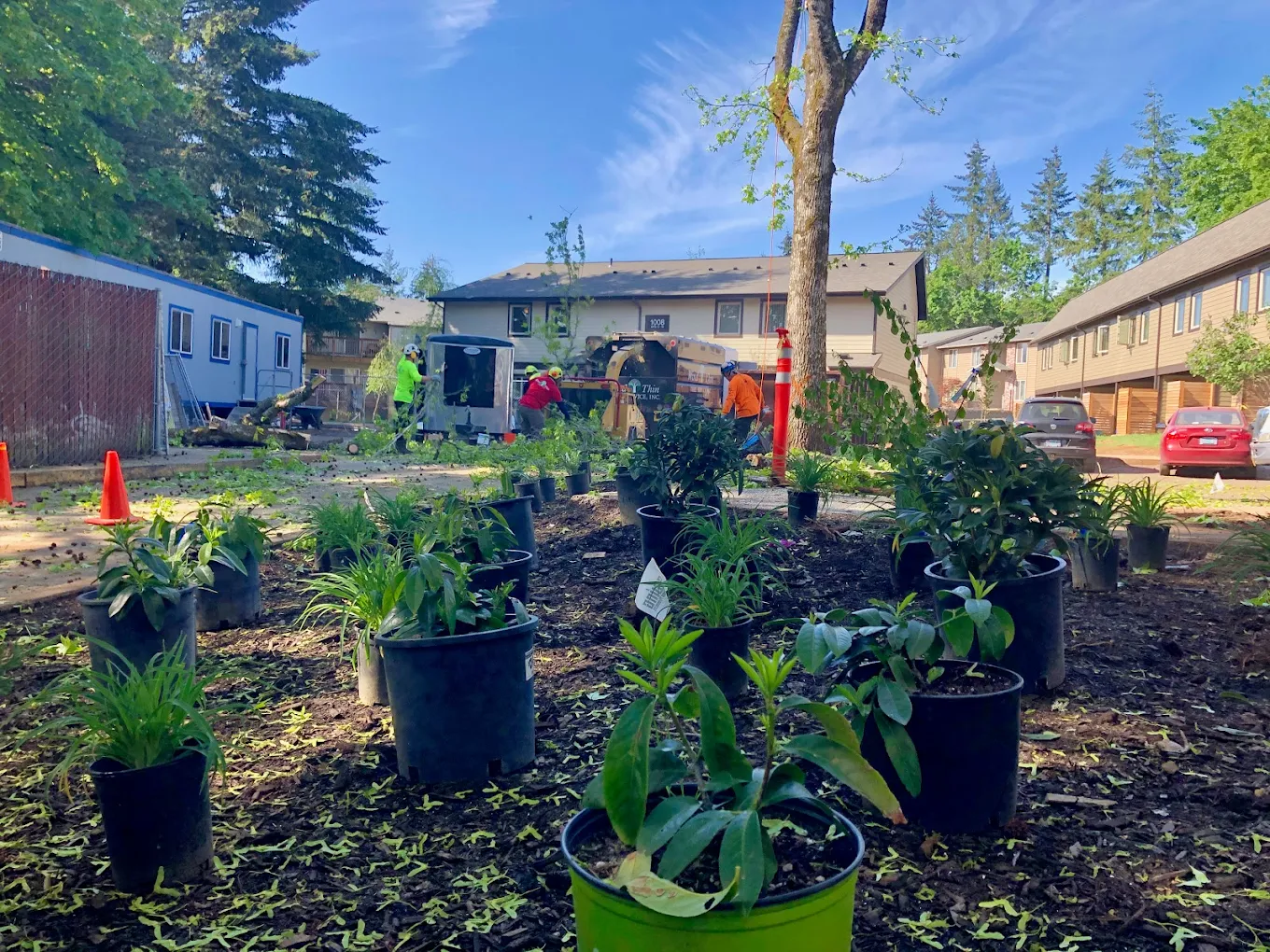 Wind Thin Tree Service, Inc