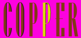Copper Modern Indian Cuisine