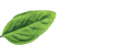 Basil Thai Charlotte