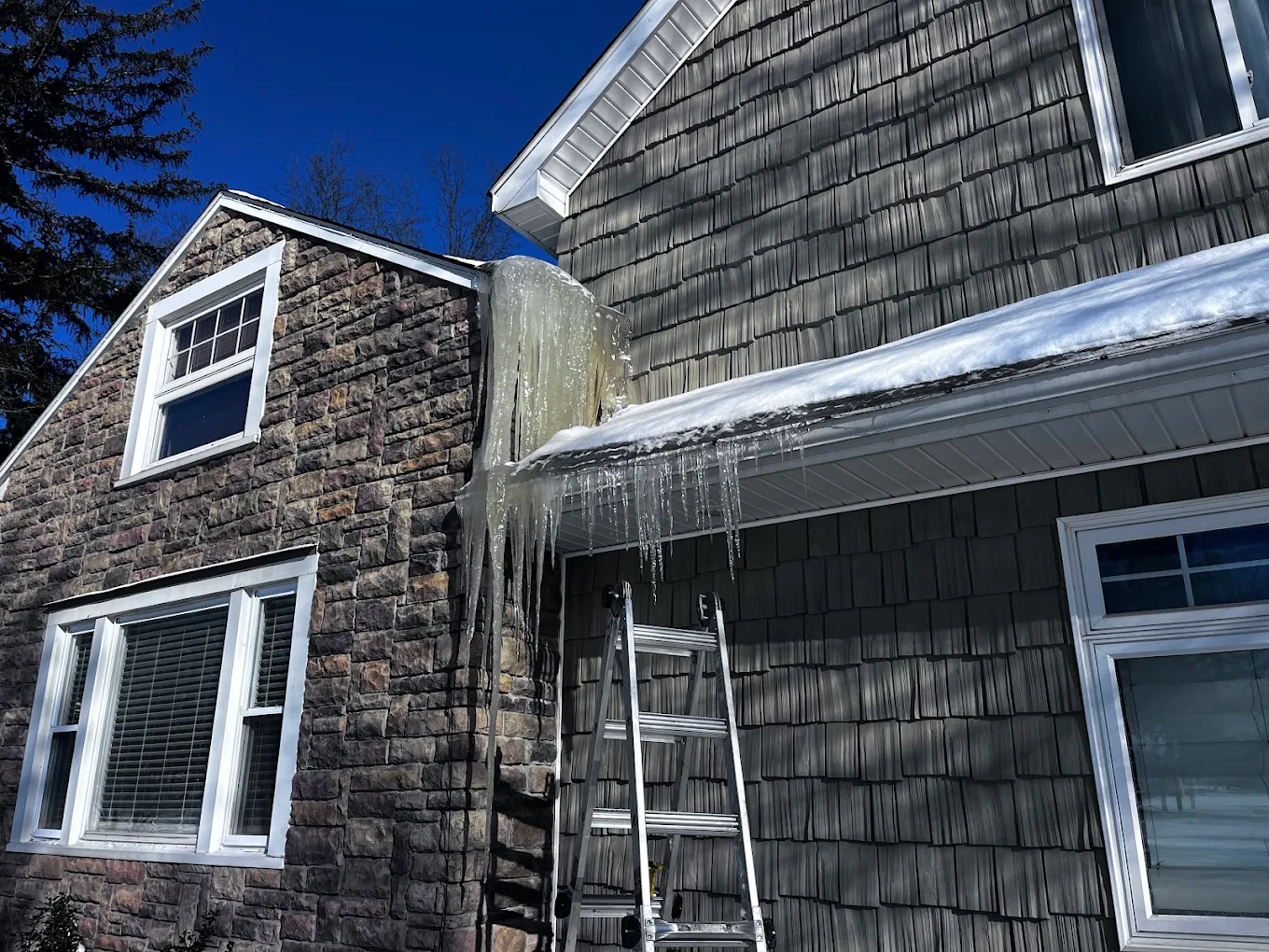 Williams Window Cleaning & Gutters