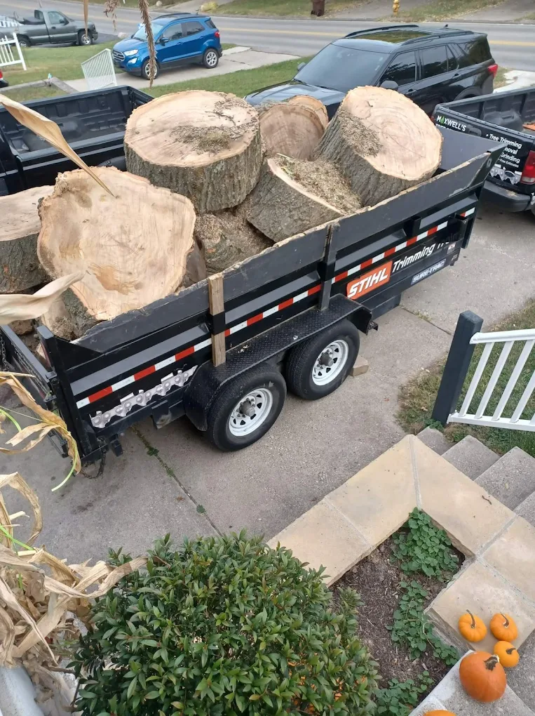 Maxwell's Tree Service