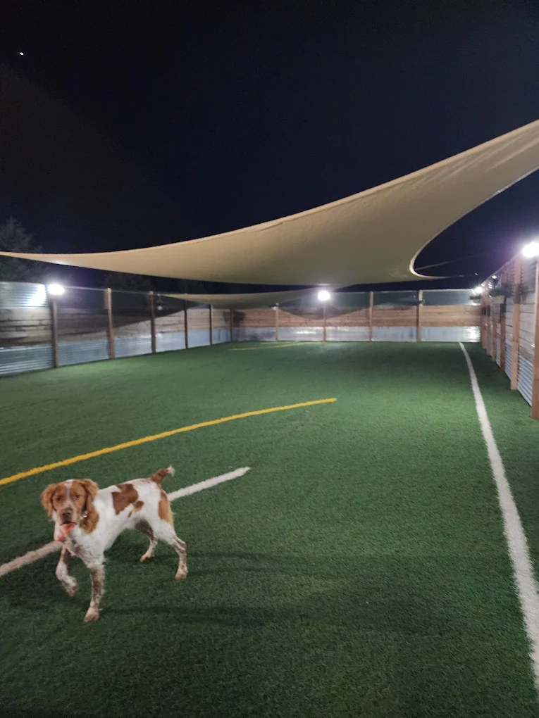 Christian K-9 Academy