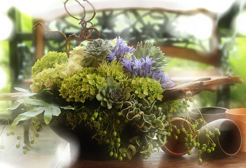 Oberer's Flowers