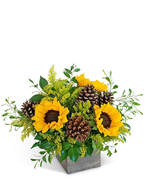 Furst The Florist 