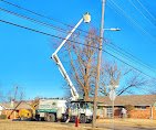 Salas Tree Service
