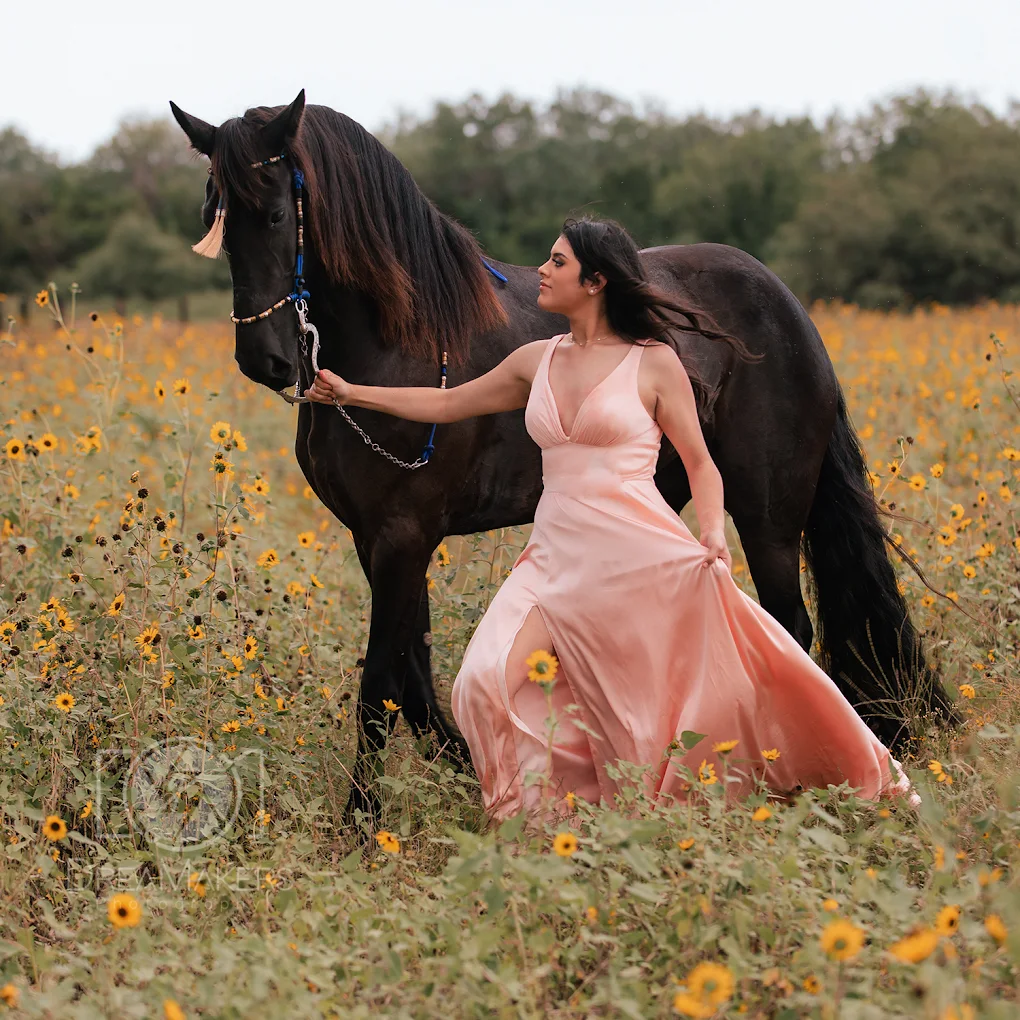 DreaMakers Photography & Video