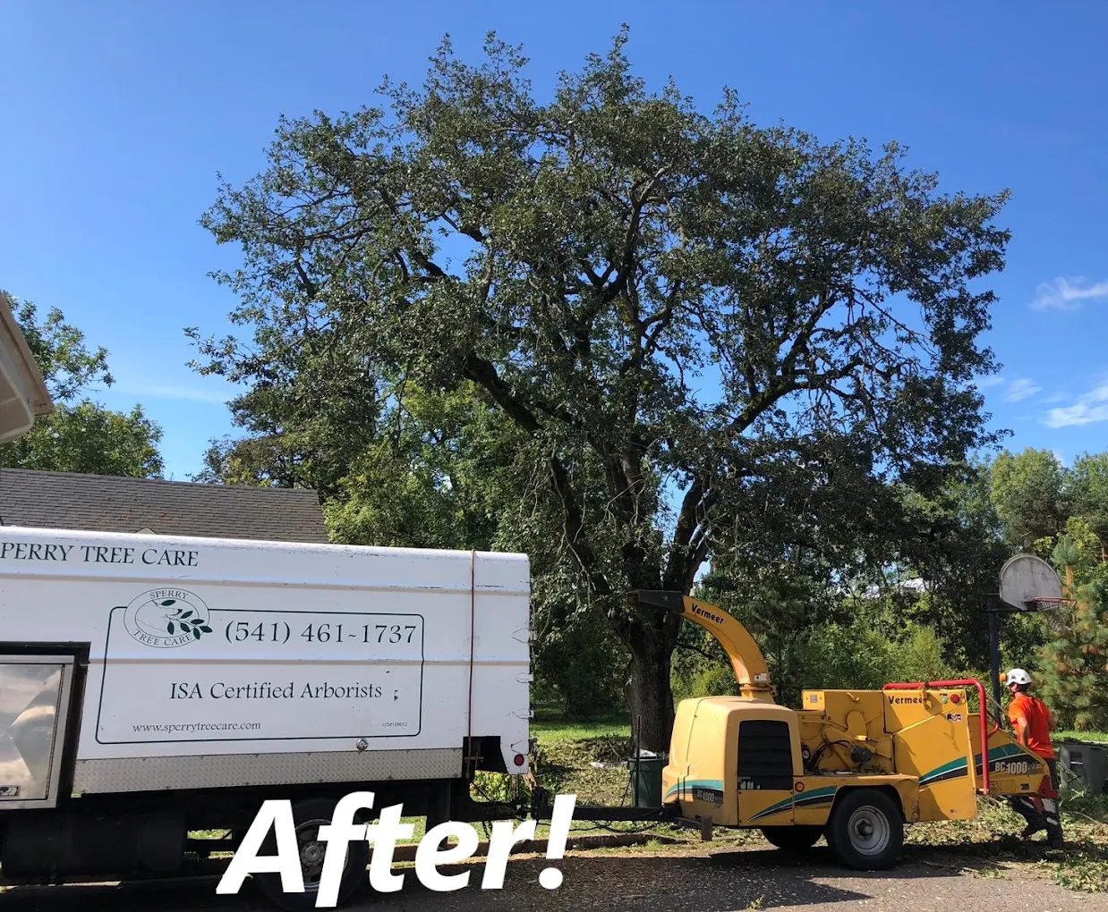 Sperry Tree Care Co