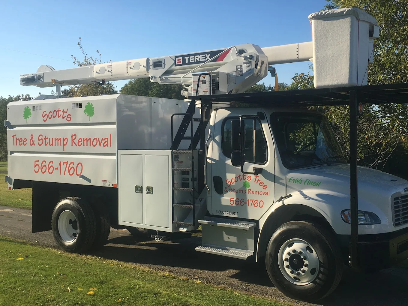Scott's Tree & Stump Removal