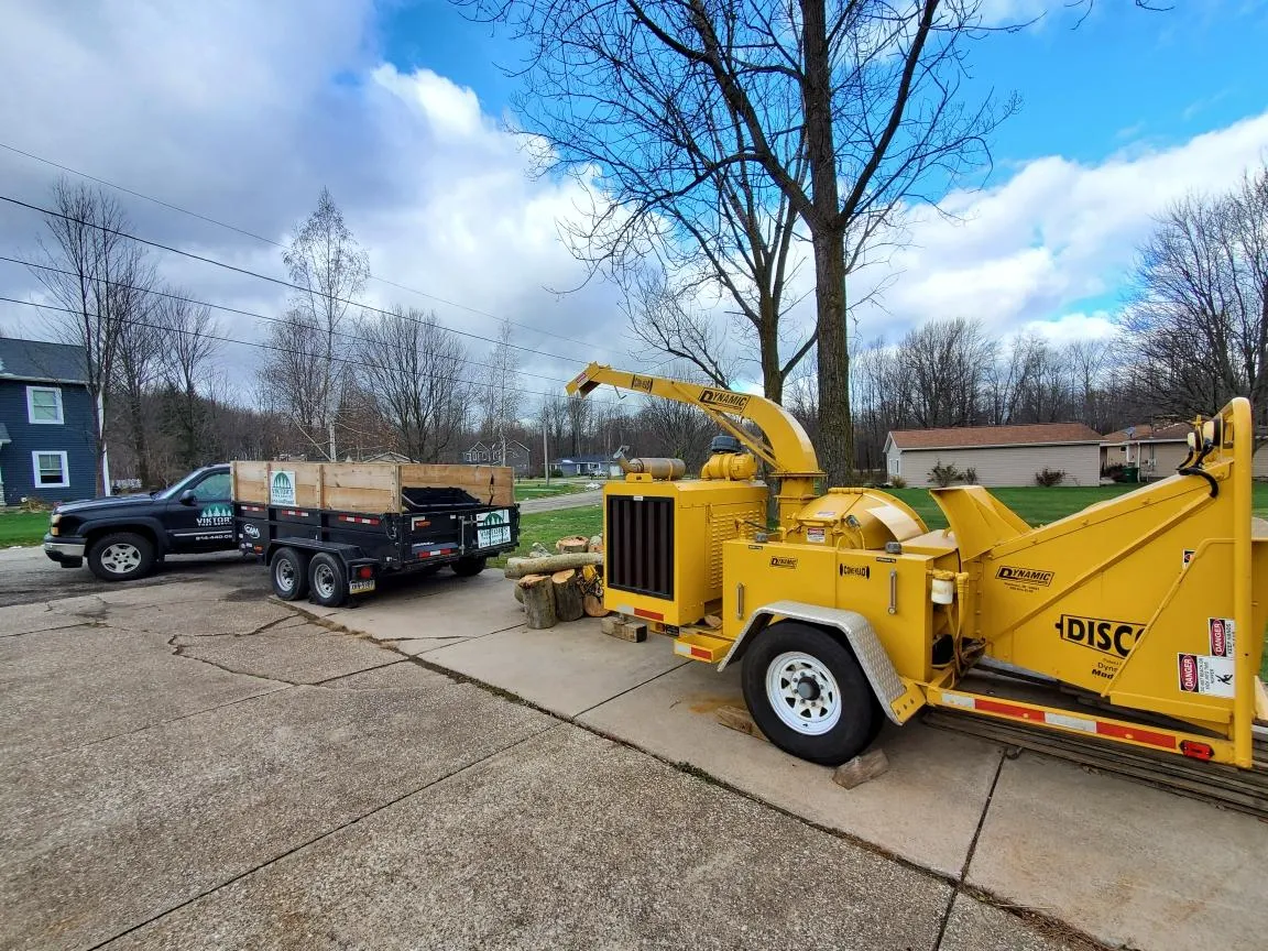 Viktor's Tree Service