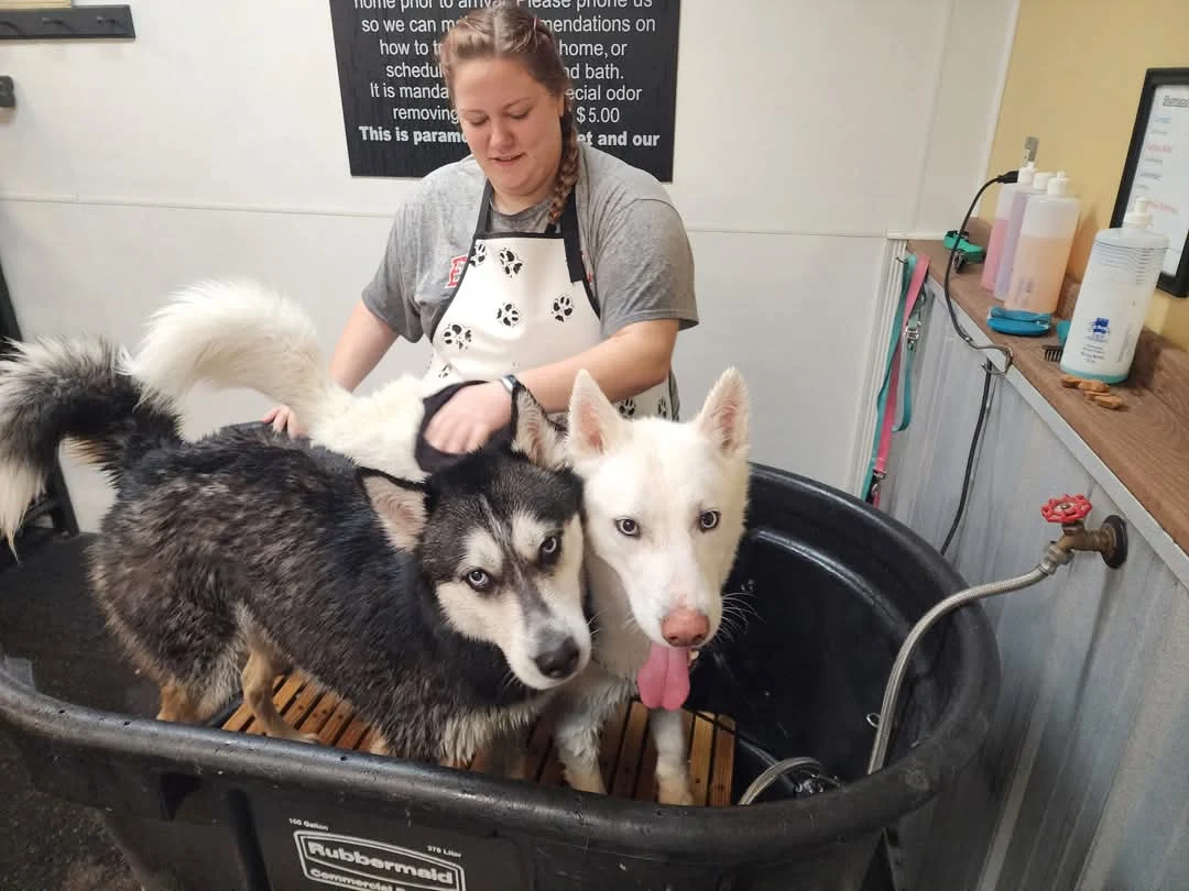 Mud Puppies Self Serve Dog Wash