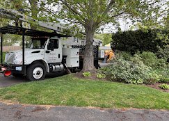 Sepe Tree Service