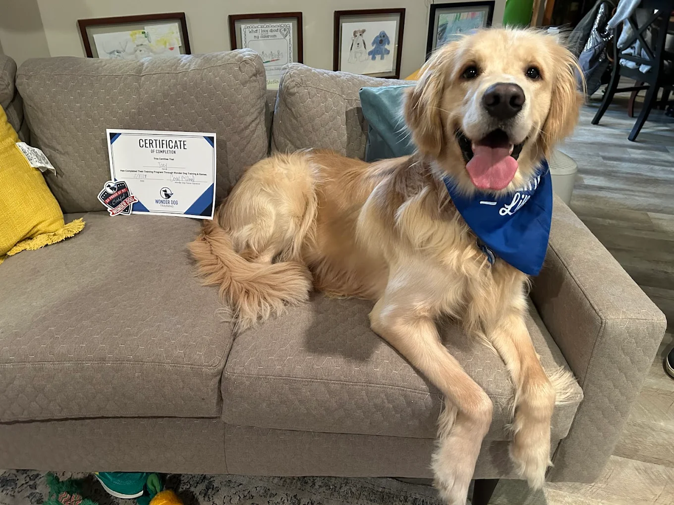 Wonder Dog Training & Games