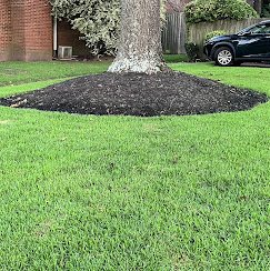 Green Elite Landscape & Design LLC