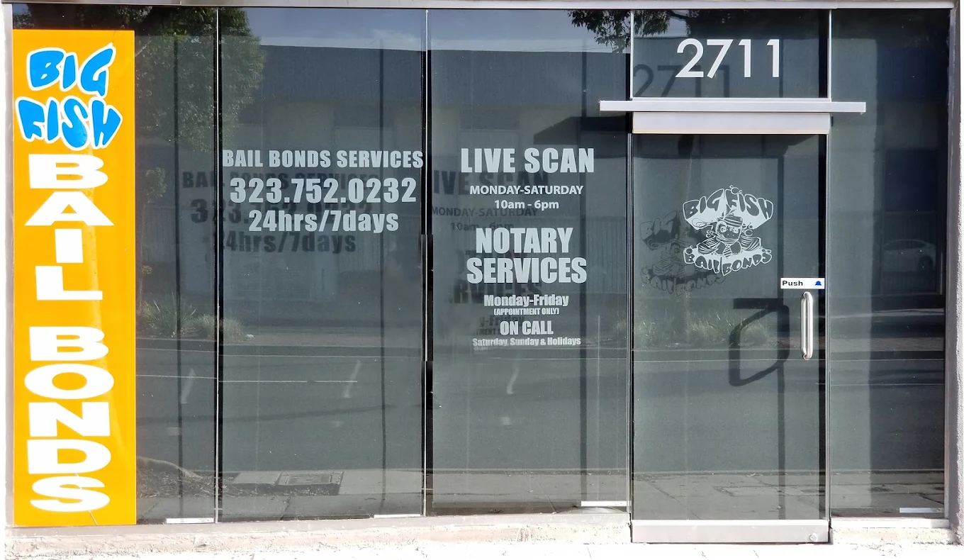 Big Fish Bail Bonds