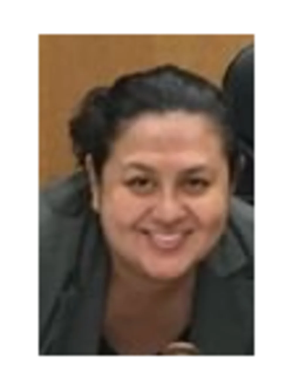 Lerma Law Offices : Araceli Lerma