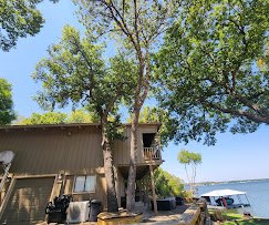 Hernandez tree care