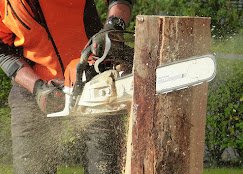 TreeTop Tree Service