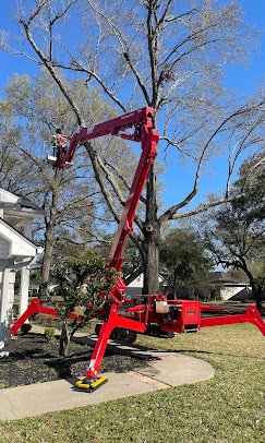 Environmental Tree Service