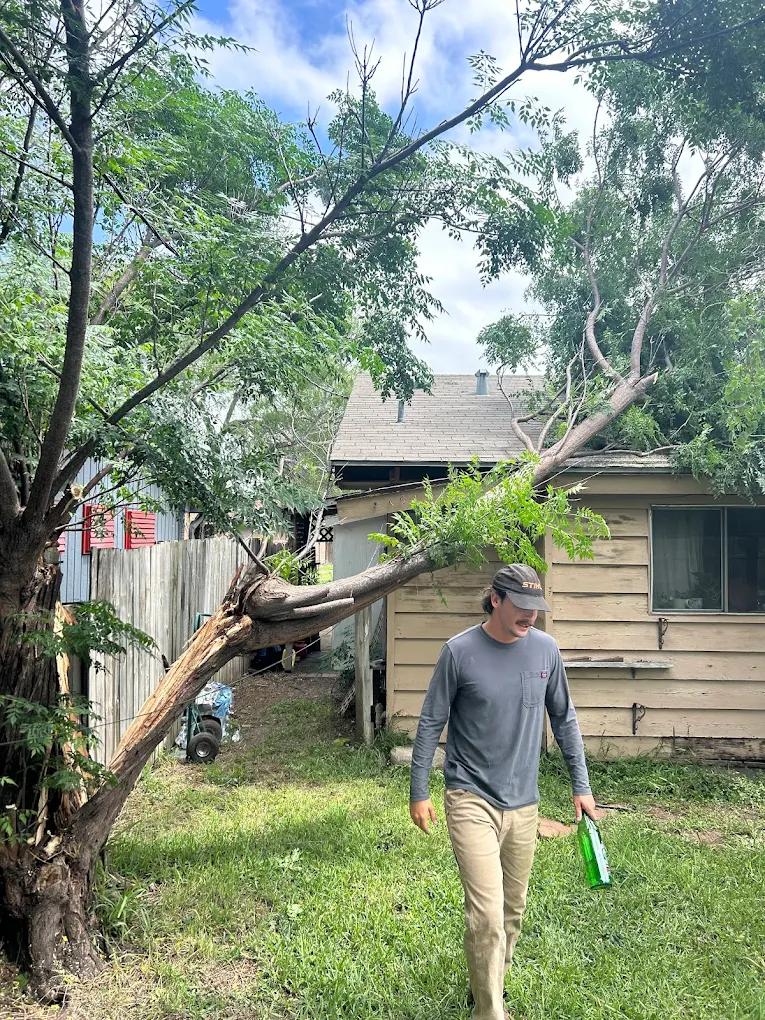 Kalbfleisch and Sons Tree Service