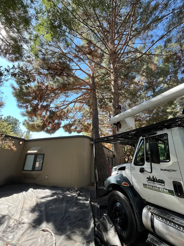Desert Mountain Tree Service LLC