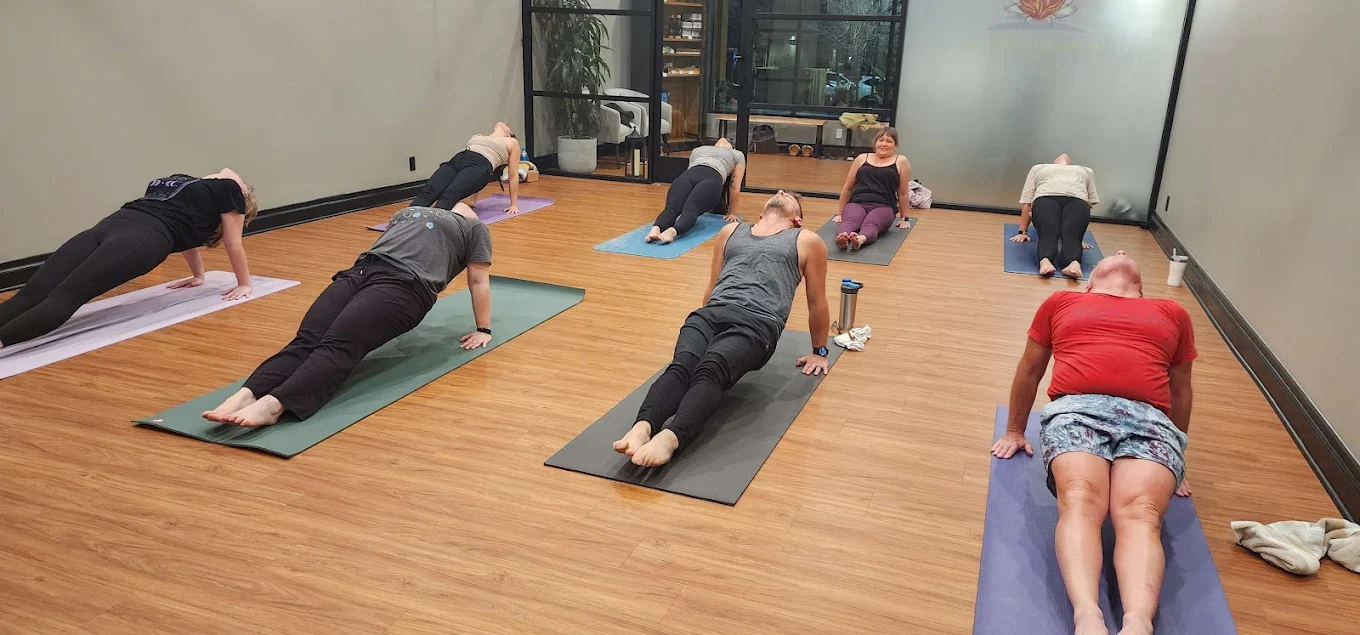 The Mind-Body Connection Yoga & Pilates Studio