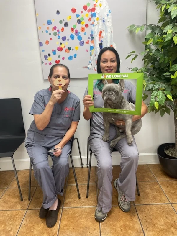 After Hours Animal Hospital
