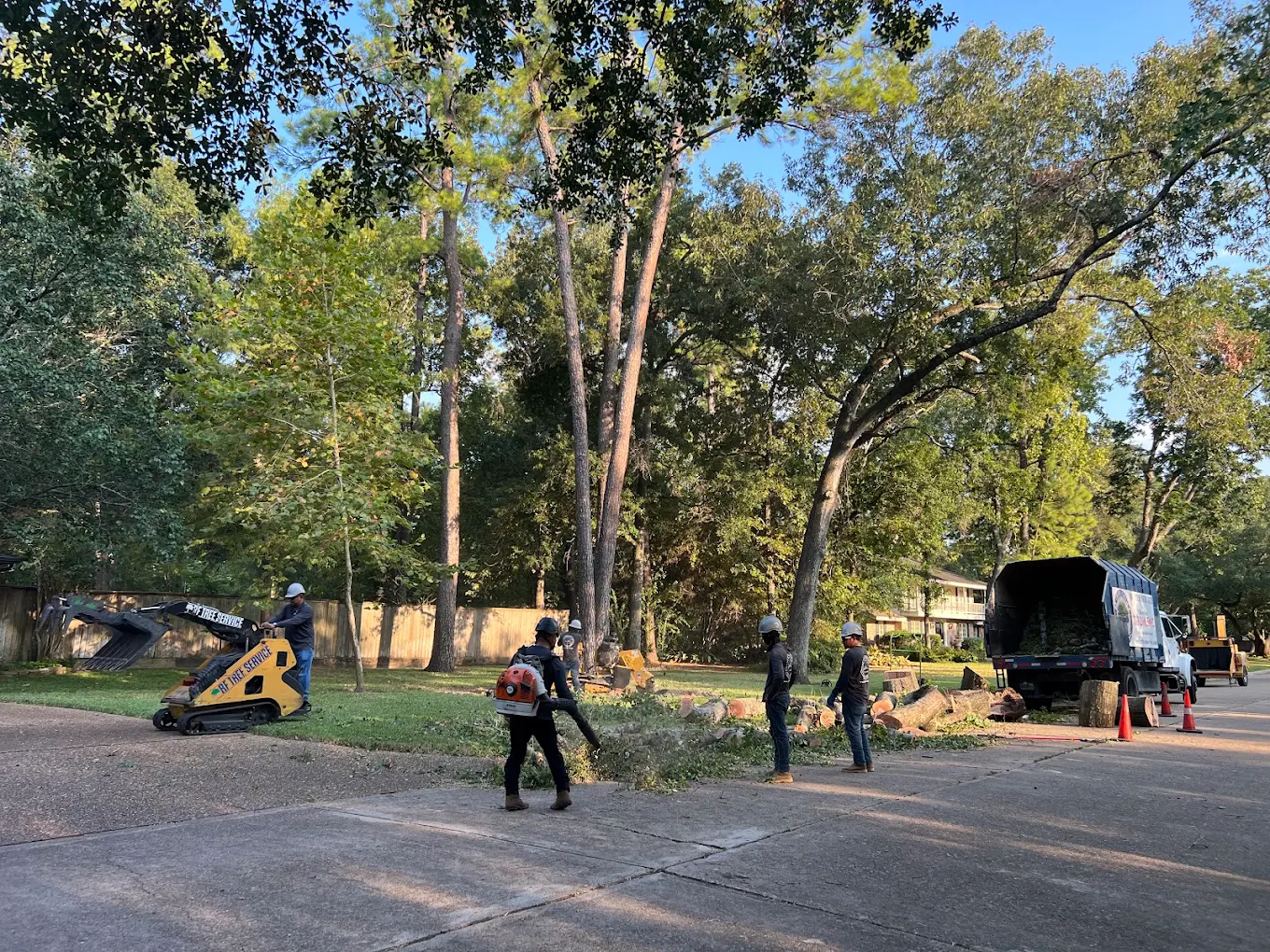 RF Tree Service