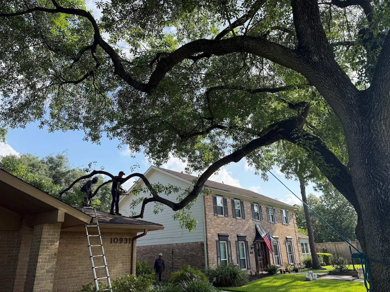 RF Tree Service