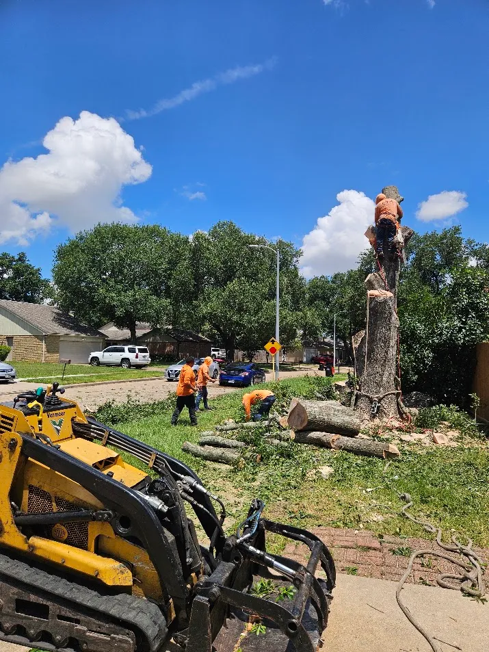 OM Tree Service