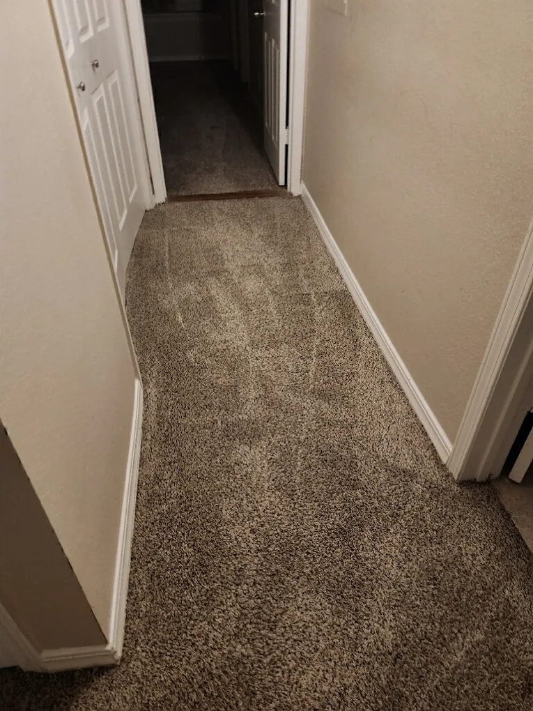 Carpet Cleaning Irving TX