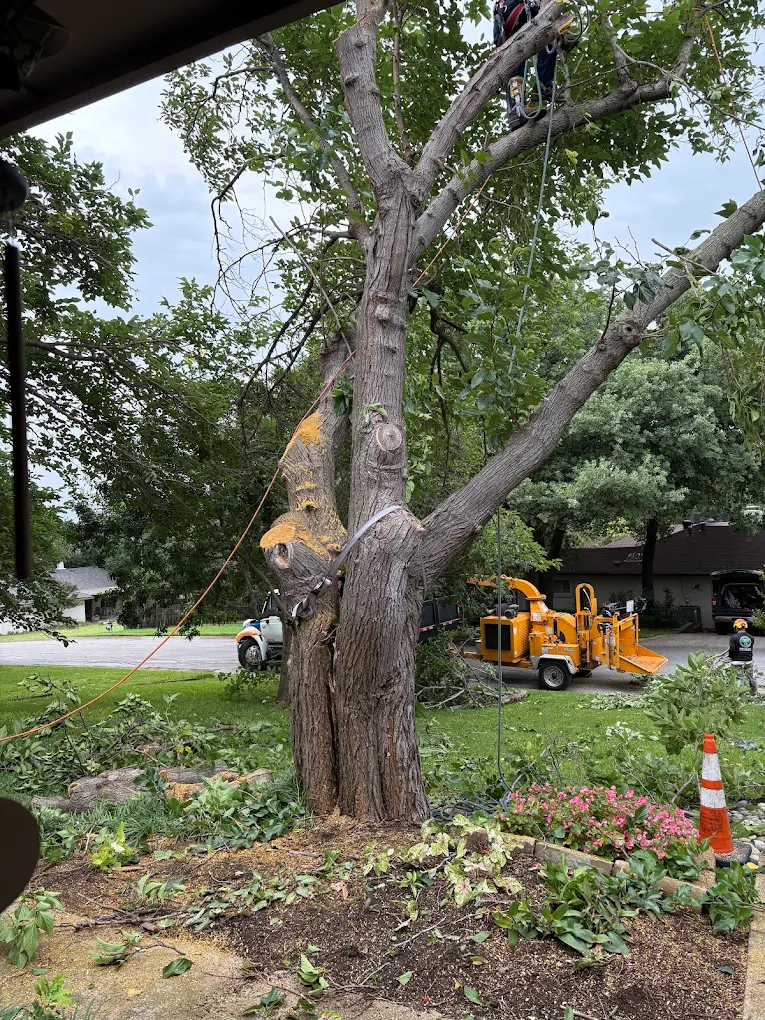 Tactical Tree Operations