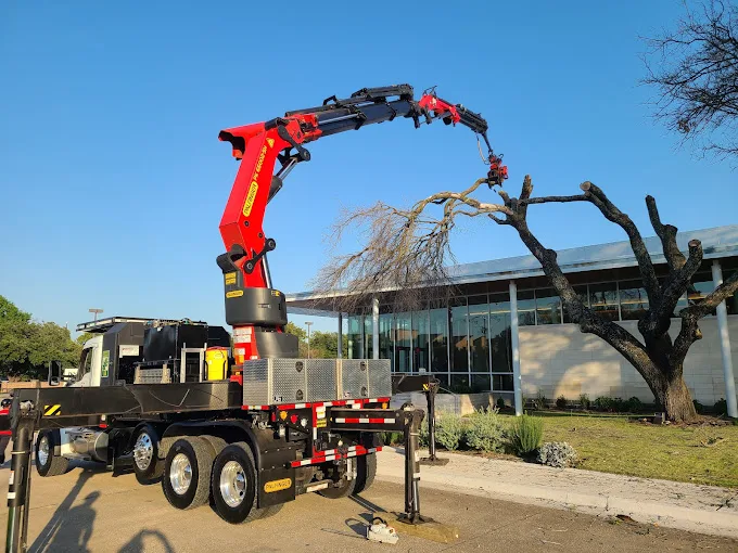 Texas Tree Transformations