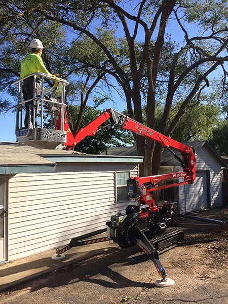 Hildebrandt Tree Tech