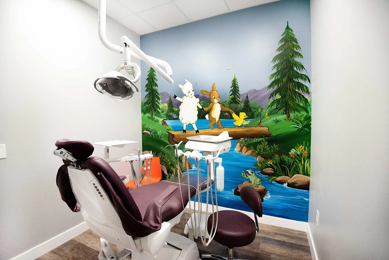 Dental Kidz Club - Ontario