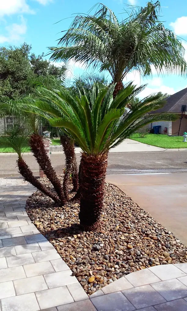 Crows Nest Tree Services