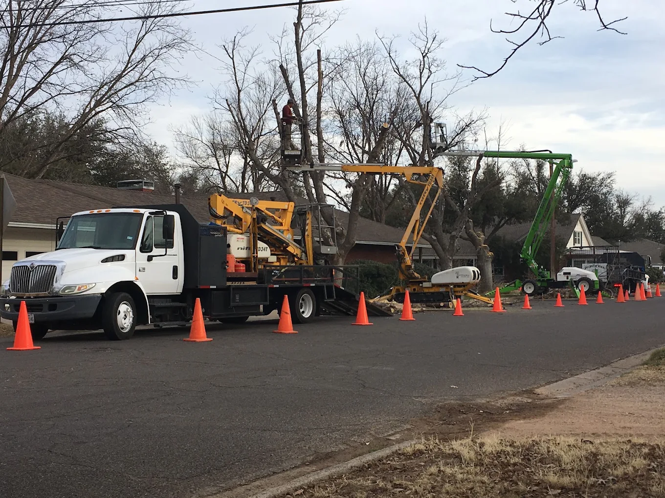 Jo Jo’s Bee Lawn & Tree Service