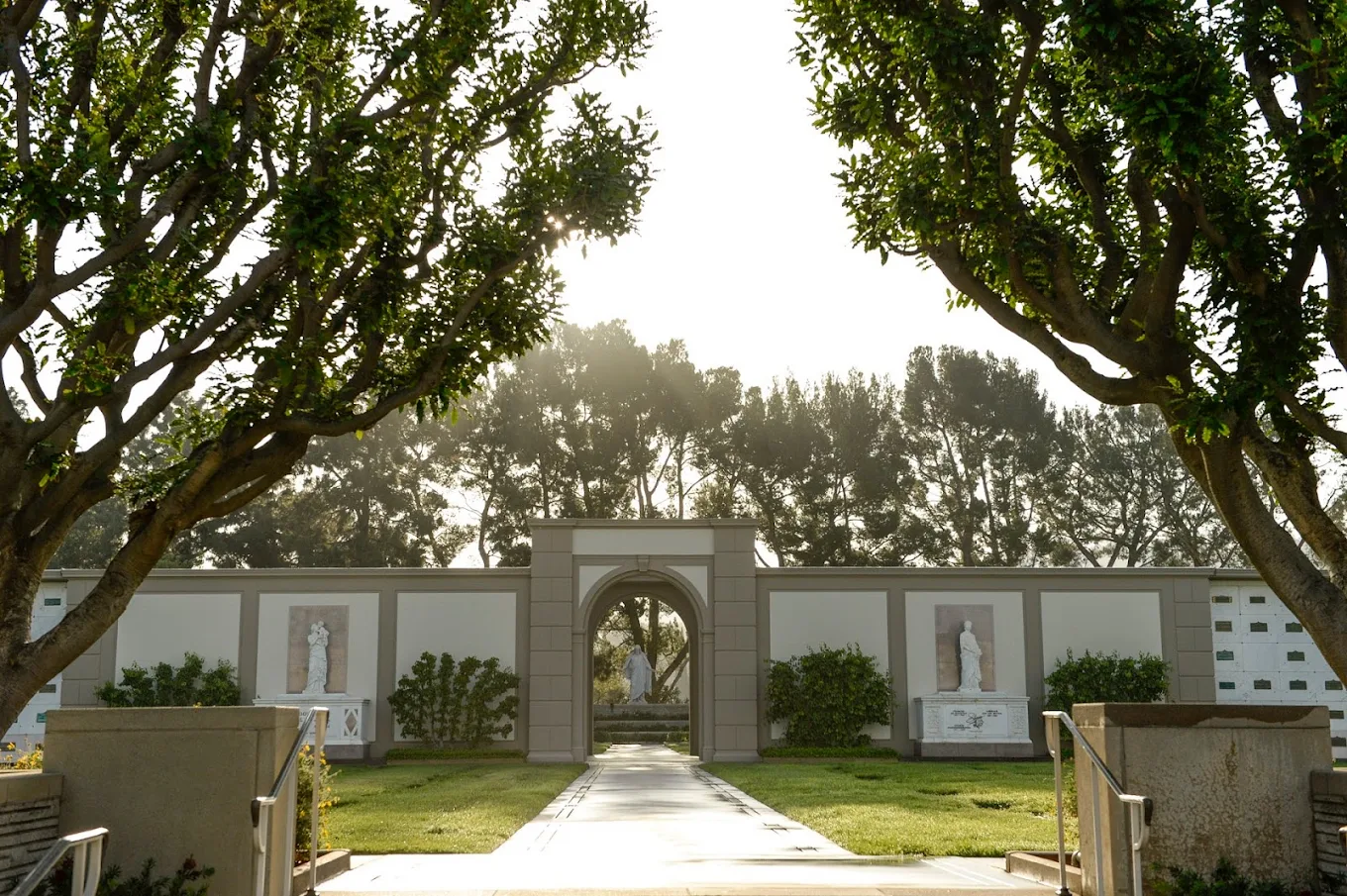 Forest Lawn