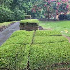 Galloway's Lawn Service