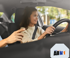 All-N-1 Driving School